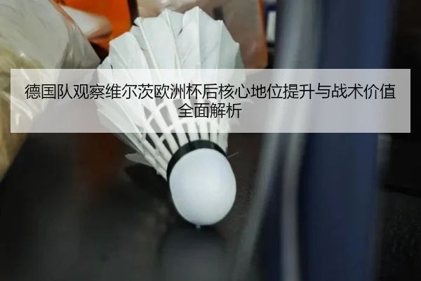 de-guo-dui-guan-cha-wei-er-ci-ou-zhou-bei-hou-he-xin-di-wei-ti-sheng-yu-zhan-shu-jia-zhi-quan-mian-jie-xi-3-899.jpg