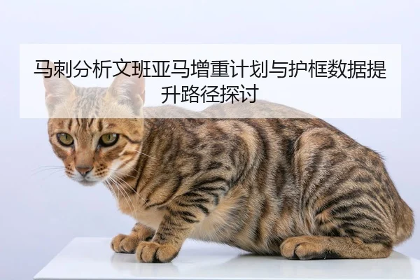 ma-ci-fen-xi-wen-ban-ya-ma-zeng-zhong-ji-hua-yu-hu-kuang-shu-ju-ti-sheng-lu-jing-tan-tao-3-398.jpg