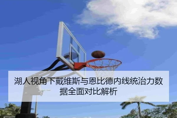 湖人视角下戴维斯与恩比德内线统治力数据全面对比解析